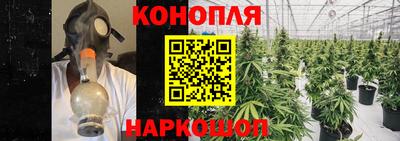 Альфа ПВП Кунгур