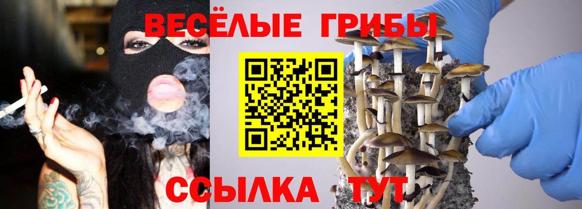 Калуга  Галлюциногенные грибы мицелий  Вход с VPN  Псилоцибиновые грибы мухоморы 