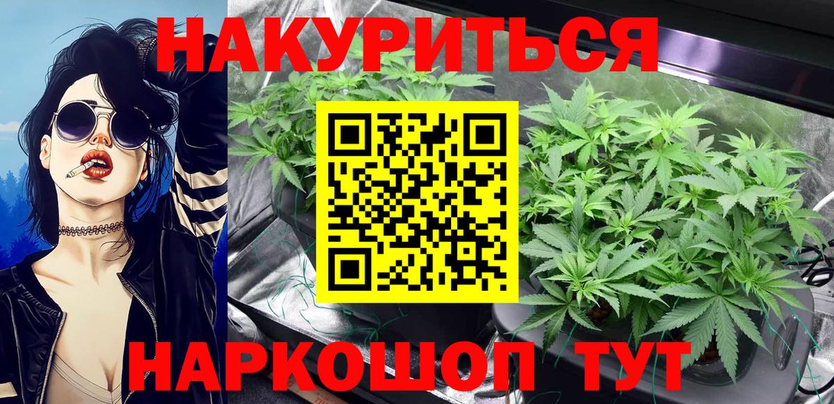Бошки Шишки план Калуга